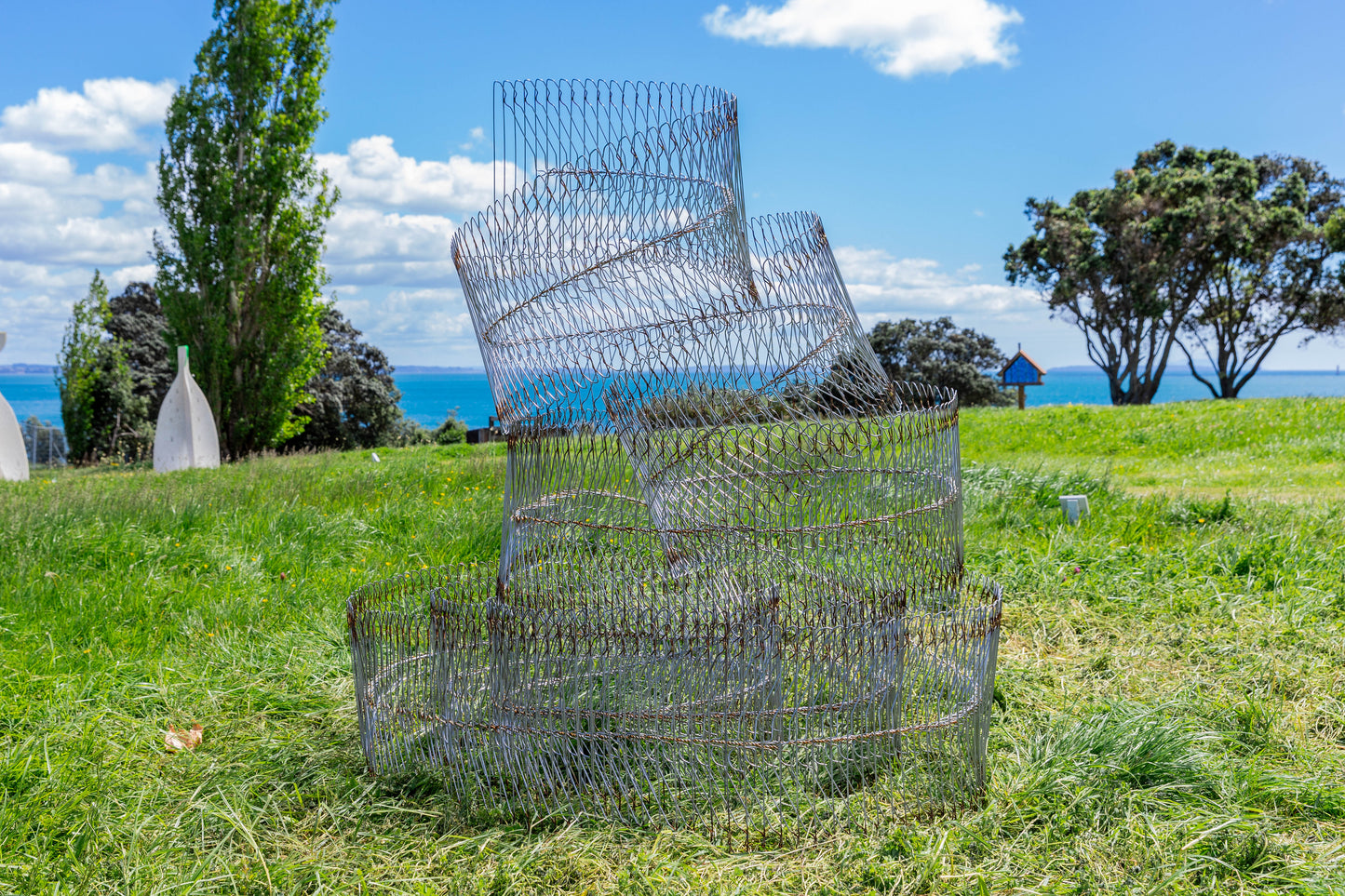 Whorl (Amanda Mackenzie)